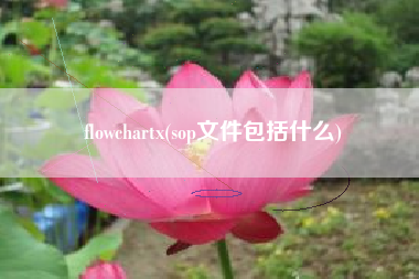 flowchartx(sop文件包括什么)