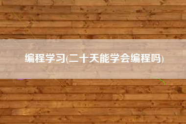 编程学习(二十天能学会编程吗)