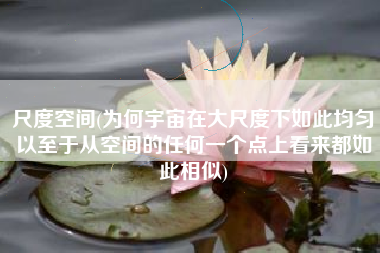 尺度空间(为何宇宙在大尺度下如此均匀以至于从空间的任何一个点上看来都如此相似)