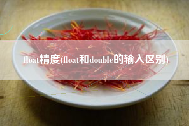 float精度(float和double的输入区别)