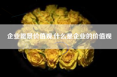 企业愿景价值观,什么是企业的价值观