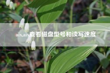 aix,aix查看磁盘型号和读写速度
