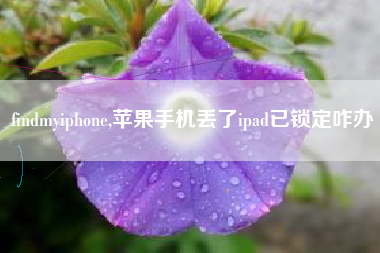 findmyiphone,苹果手机丢了ipad已锁定咋办