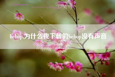 bebop,为什么我下载的bebop没有声音