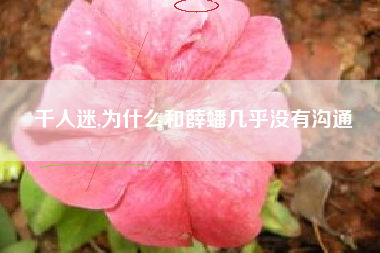 千人迷,为什么和薛蟠几乎没有沟通
