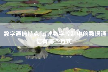 数字通信特点(试述数字控制中的数据通信有哪些方式)