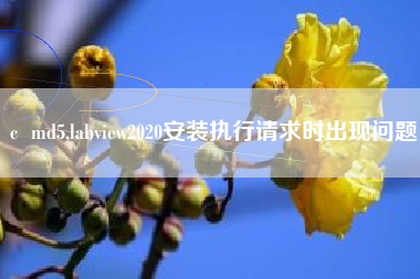 c  md5,labview2020安装执行请求时出现问题