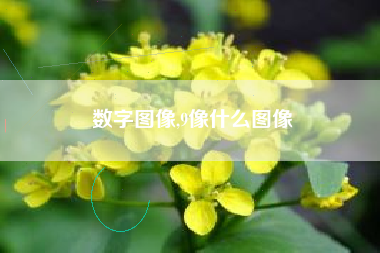 数字图像,9像什么图像