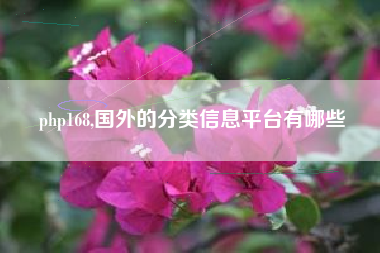 php168,国外的分类信息平台有哪些