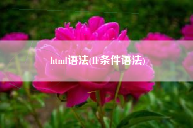html语法(IF条件语法)