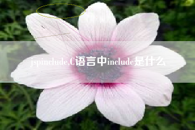 jspinclude,C语言中include是什么