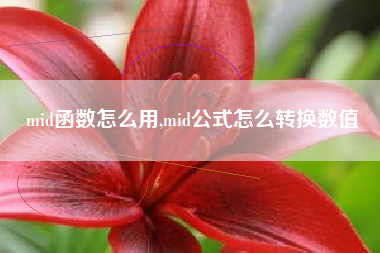 mid函数怎么用,mid公式怎么转换数值