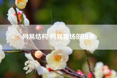 网易结构(网易猪场的由来)
