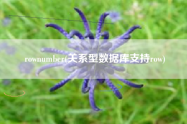 rownumber(关系型数据库支持row)