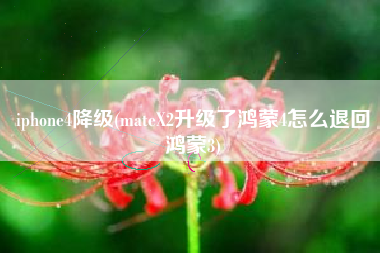 iphone4降级(mateX2升级了鸿蒙4怎么退回鸿蒙3)