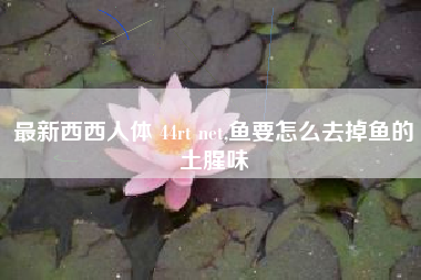 最新西西人体 44rt net,鱼要怎么去掉鱼的土腥味