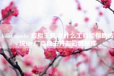 linux apache 虚拟主机,有什么工具能帮助传统IDC厂商自主开发云数据库