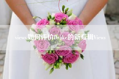 views,如何评价Drake的新专辑Views