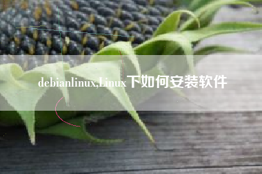 debianlinux,Linux下如何安装软件