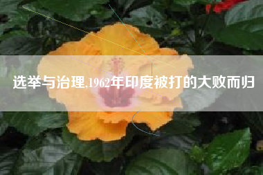选举与治理,1962年印度被打的大败而归