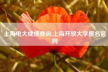 上海电大成绩查询,上海开放大学报名官网