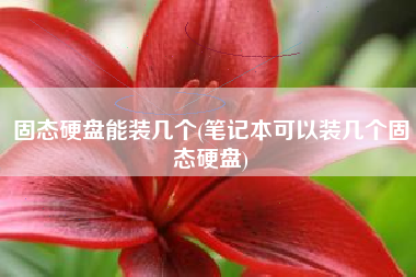 固态硬盘能装几个(笔记本可以装几个固态硬盘)