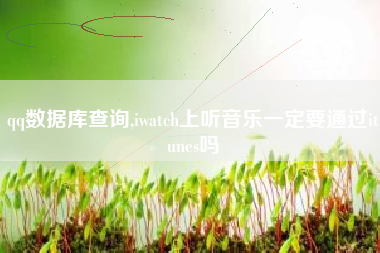 qq数据库查询,iwatch上听音乐一定要通过itunes吗