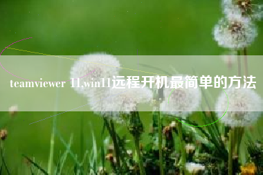teamviewer 11,win11远程开机最简单的方法
