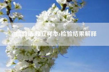 f检验法,独立样本t检验结果解释