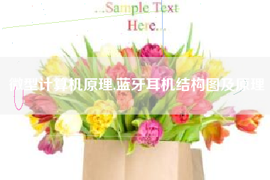 微型计算机原理,蓝牙耳机结构图及原理