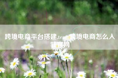 跨境电商平台搭建,temu跨境电商怎么入驻官网