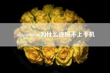 slite,p6slite为什么连接不上手机