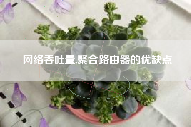 网络吞吐量,聚合路由器的优缺点