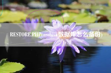 RESTORE.PHP(archive数据库怎么备份)