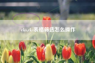 eks,eks表格筛选怎么操作