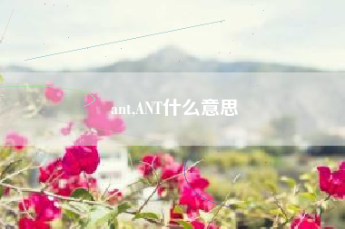 ant,ANT什么意思