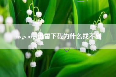 nxgx,nxgx迅雷下载为什么找不到