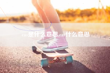 cas是什么意思,cas什么意思