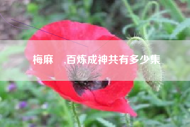 梅麻呂,百炼成神共有多少集