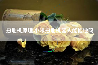 扫地机原理,小米扫地机器人能拖地吗