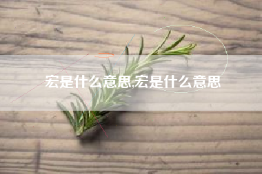 宏是什么意思,宏是什么意思