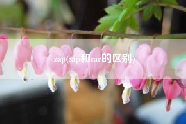 zap(zap和rar的区别)