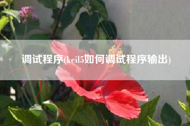 调试程序(keil5如何调试程序输出)