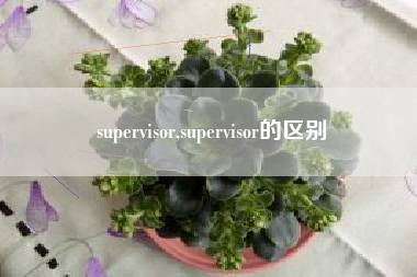 supervisor,supervisor的区别