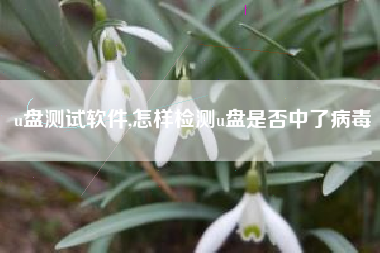 u盘测试软件,怎样检测u盘是否中了病毒