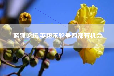 蓝狐论坛,英超末轮争四都有机会
