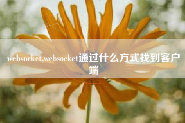 websocket,websocket通过什么方式找到客户端