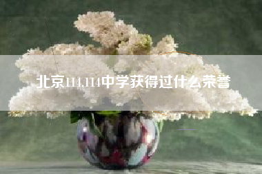 北京114,114中学获得过什么荣誉