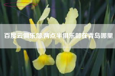 百度云俱乐部,两点半俱乐部在青岛哪里