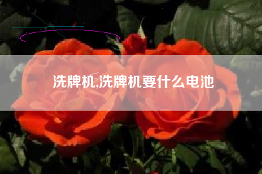 洗牌机,洗牌机要什么电池